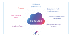 Podstawowe wyróżniki usługi dzierżawy serwera w chmurze blueCLOUD